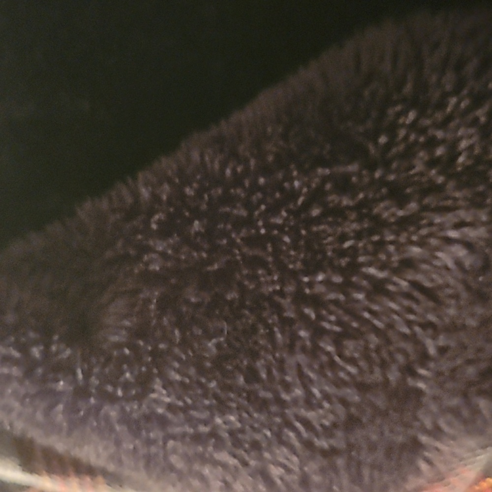 Plaid jacket - Picture 3 of 4